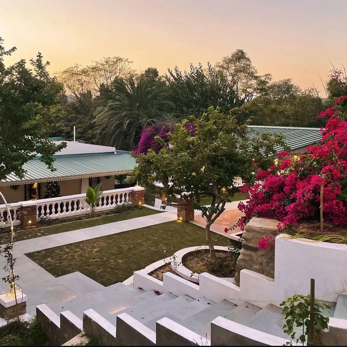 Antler Woods, Siswan: white garden steps leading down to the lawn and veranda at dusk, with bougainvillea in flower